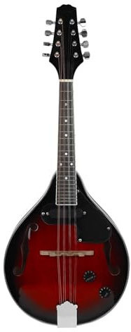 Professionell Mandoline Instrument Professionelles Elektrisches Mandolineninstrument Mit Acht Saiten Und Instrumentensatz(A)