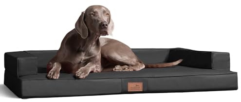 tierlando® Orthopädisches Hundesofa Gibson aus Kunstleder mit Visco-Matratze, kubisches Design, gelenkschonende Hundelounge mit Rutschfester Unterseite Größe: 150x100cm | Farbe: 02 Graphit