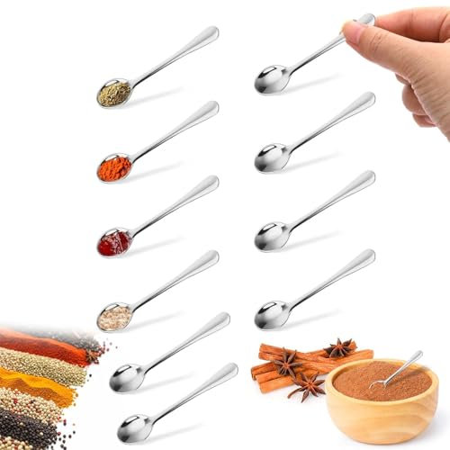 10 PCS Mini Spoon, Tiny Spoon, Tiny Stainless Steel Spoons, Cute Small Stainless Steel Spice for Spices, Salt, Fun Little Scoops (9.5 * 2.3cm)