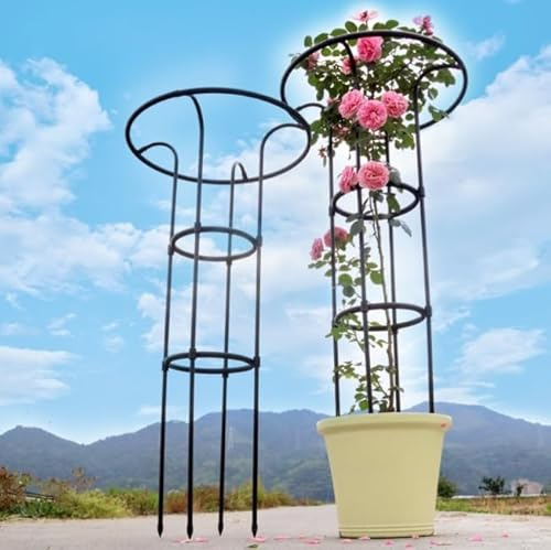 Treillis vertical de jardin pour plantes grimpantes – Support de tour de parapluie en métal pour vignes et fleurs – 120 cm – Design enduit noir – Idéal pour la décoration de jardin
