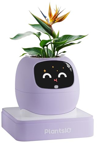 PLANTSIO Ivy Maceta Inteligente Decorativa hogar, compañero robótico, Cuidado Plantas, decoración Escritorio ordenada, Regalo Bonito, Maceta Inteligente para Mascotas (Violeta)