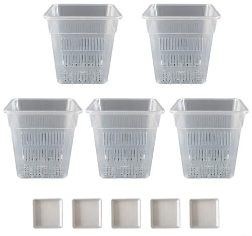 HpLive 5 macetas para orquídeas transparentes, transpirables, cuadradas, con agujeros, adecuadas para la observación del crecimiento de las raíces de las plantas para balcón (12 cm con bandejas)