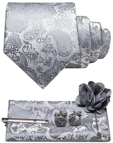 JEMYGINS - Cravatta da uomo con motivo paisley, set con fazzoletto da taschino, fermacravatta, spilla floreale e gemelli da polso, argento, M