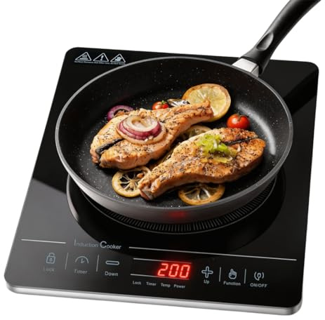 AFRA Induction Hob 2000W, Portable Single Induction Cooker with Touch Control, 10 Power Levels, Timer, Auto Shut-Off, Easy Clean Glass, Black