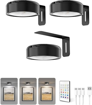 Homelist Picture Lights for Wall, 2200mAh Rechargeable Picture Light, 12 RGB Poster Lights with 3 Color Temperatures, Remote Dimmable, for Paintings Art Display Gallery Walls, Art Lovers, Black 3 Pack