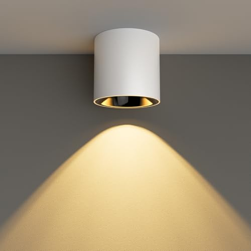 Oliterlux 24W LED Dimmable White Ceiling Spot Light 4.92'' Aluminum CRI90 3000KCylinder Spotlight Indoor Modern Minimalist Focus White Ceiling Down Light Fixture for Living Room Hallway Foyer