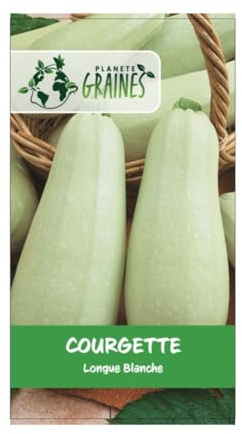 60 graines courgette BLANCHE- COURGETTE LONGUE BLANCHE LONGO BIANCO -