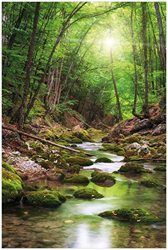 Wallario Glasbild Fluss im Wald - 60 x 90 cm Wandbilder Glas in Premium-Qualität: Brillante Farben, freischwebende Optik