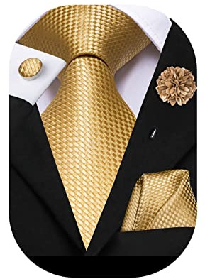 Hi-Tie Cravate en soie pour homme avec gemmes carrées de poche en jacquard, épingle à cravate pour mariage d'entreprise et usage formel, or, M