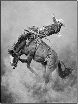 QITEX Aesthetic Room Deko Western Cowboy Wanddekor Rodeo Bilder Kalb Seil Pferd Gemälde Kunstdrucke Poster Leinwand Bild poster & kunstdrucke Wand Bilder Bilder 30x40cm(Kein Rahmen)