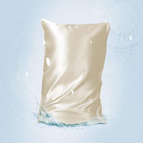 THXSILK Hyaluronsäure Seide Kissenbezüge für Haar und Haut, Kissenbezug aus 100% Reiner Maulbeerseide mit verstecktem Reißverschluss (Champagner, 40X80cm)