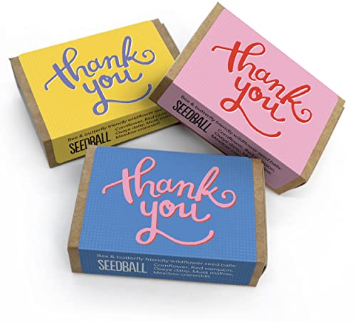 SEEDBALL Thank You Teacher Gifts Wildflower Seeds | Set of 3 Boxes with 6 Wild Flower Seed Balls Per Box | Bee Friendly British Wildflower Seed Bombs for Bees, Butterflies & Garden Wildlife