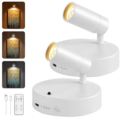 GOODEA Kabellose Spotlight mit Tageszyklus Timer, Großer & Heller Wandspot | 5500mAh, 3 CCT & Dimmbar, Fernbedienung, 350° Drehbar Akku Wandleuchte für Bilder Pflanzen Vitrine Wand Deko [Weiß,2er Set]