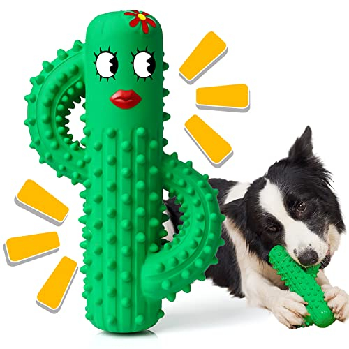 Rmolitty Hundespielzeug, Unzerstörbares Kauspielzeug, Puppy kauen für zahnende Welpen, Haltbares Quietschspielzeug aus Gummi für kleine bis mittelgroße Hunde