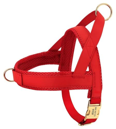 GKRB Personalisiertes Hundegeschirr, Ohne Ziehen, Leder + Netz, XS/S/M/L/XL, Rot, Blau, Grau, Braun, Für Kleine, Mittlere Und Große Hunde, Klassisch, Namensgravur
