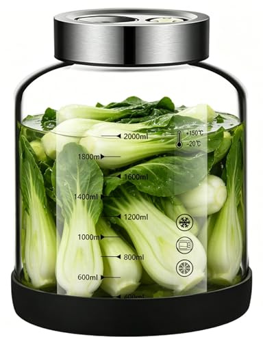 Calenxy Fermentierglas mit Deckel, Gärglas Einmachglas 2l Kimchi Behälter, Kefir Glas Fermentiergläser mit Gärventil, Sauerkraut Fermentationsglas, Jar für Gurke/Sauerkraut