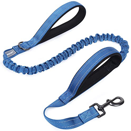 VIVAGLORY Hundeleine Pullsafe Bungee Leine Hund, Führleine Hundeleine mit Doppelgriff & Zwei Griffen für Hausleine Joggingleine, Bungee & Stark Ziehende für Hunde, 120 x 2.5cm, Royal Blue