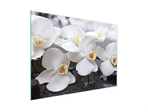 DarHaus Herdabdeckplatte 30x22 cm Ceranfeldabdeckung Orchidee Weiß