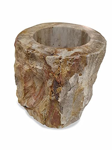 Zahnputzbecher versteinertes Holz - Zahnbürstenhalter Naturstein, Badezimmer Zubehör Accessoire