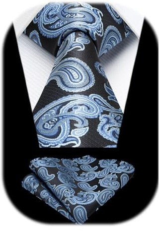 HISDERN Herren Paisley Krawatte Formale LäSsig Floral Krawatten Einstecktuch Hochzeit Partei Beerdigung Krawatte Sets FüR Herren