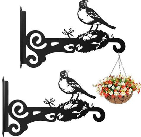 EMAGEREN 2 Pcs Suspension Plante Extérieur, Crochet Pot de Fleur Suspendu Fer Forgé, Support Mural Pot de Fleur, Crochet Suspension Plante en Forme de Pic, pour Panier Lanterne Mangeoire à Oiseaux