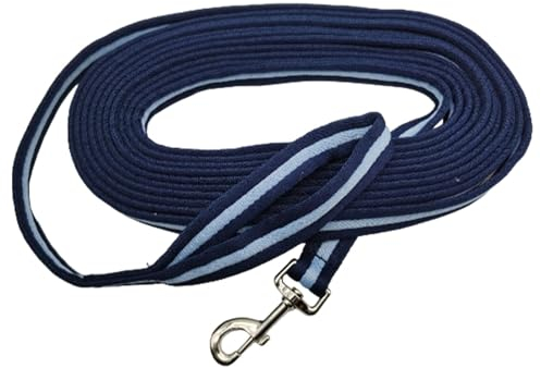 Präzisions-Ausfallseil, Pferdetrainingsseil, Hundeleine mit gepolstertem Griff, lange Hundetrainingsleine, Haustier, flach mit Schlaufe für kleine, mittelgroße und große Hunde, strapazierfähiges Nylon