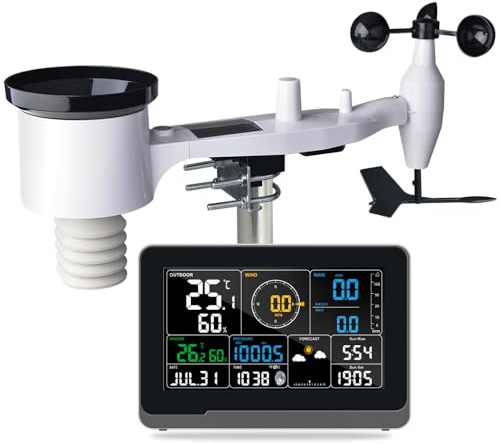 Stazione meteo (WH5000 7 in 1 stazione meteo wireless WiFi)
