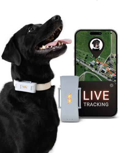 PAJ GPS Tracker für Hunde - 4G - Weglaufalarme + weltweite Live-Ortung - bis zu 10 Tage Akkusparmodus - Hunderückruf - mit Leucht-LEDs - Wasserdicht (IP67) - passt an jedes Halsband (Grau)