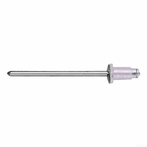 20pcs Door Reveal Molding Rivets with Plastic Cap 4mm Diameter 6mm Flange Grip Range 1.20-3.40mm Compatible with 90269-04051 90269-A0006