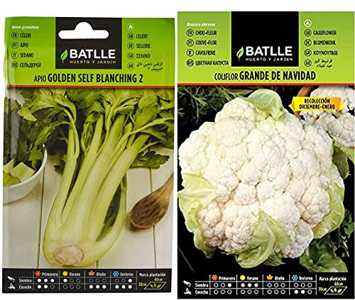 Semillas Batlle Apio GOLDEN SELF BLANCHING 2 & Coliflor grande NAVIDAD (dic-en)