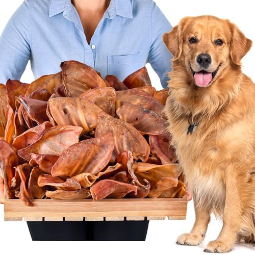 Orecchie di maiale per cani 100 pezzi (4kg) | Snack naturali di orecchie di maiale intere essiccate | 100% naturali | Masticazione duratura | Senza cereali | Ideali per cani piccoli e grandi