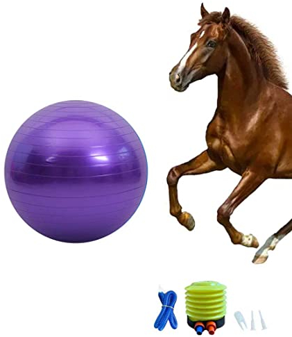Chyesong Pferdeball-Trainingsspielzeug, Anti-Burst-Pferde-Übungsball mit Inflator-Pumpe für Pferd, Lamm, Ziege, Unterhaltungsspielzeug Ball (55,9 cm, lila), 55,9 cm