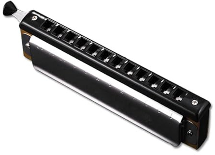 12 Löcher Chromatische Mundharmonika C-Ton 48 Ton Harfe Holzblasinstrumente klassische Mundharmonika