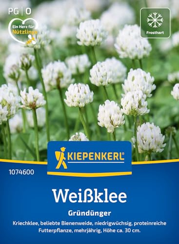 Kiepenkerl Weißkleesamen Kriechklee 1074600, Gründüngungssaat | Blumensamen für einen mehrjährigen Gründünger