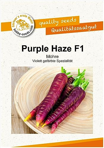 Möhrensamen Purple Haze F1 Portion