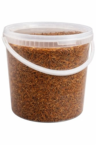 Premium Dried Mealworms, 10 Litre Bucket | Bucket