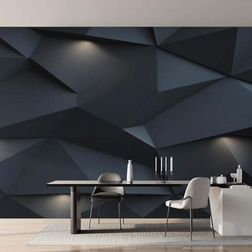 Générique Papier Peint Intissé Géométrique 3D, Papier Peint Panoramique Noir Moderne Simple pour Salon Chambre Bureau Couloir, Décoration Murale, 300 x 250 cm (L x H) Y&W18
