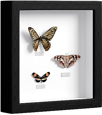 EUGAD 3D Bilderrahmen zum befüllen, 30x30 cm, Schwarz, 3cm Tiefer | 3D Objektrahmen, Tiefer Rahmen für Wand- & Tischrahmen, Shadow Box für Fotos, Hochzeitsstrauß, DIY Kunstwerke