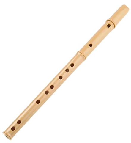 8 Hål Sopran Blockflöjt Musikinstrument | Det ser vackert, elegant och behagligt ut för örat.(G KEY)