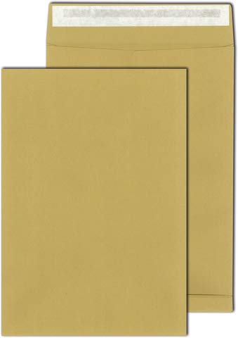 MAILmedia® Versandtasche, mit Falte, 40 mm, Stehboden, ohne Fenster, haftklebend, B4, 250 x 353 mm, 150 g/m², Kraftpapier, braun (250 Stück), Sie erhalten 1 Karton á 250 Stück