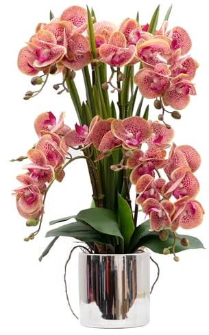 CXGS Künstliche Orchideen, Real Touch-Qualität, Kunstorchideen in Keramikvase, 53 cm, künstliche Phalaenopsis-Blume für Kunstblumenarrangement, Heim- und Innendekoration, Lila