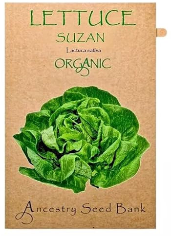 Organic Lettuce ❁ Suzan ❁ 150 Seeds Heirloom - Non GMO