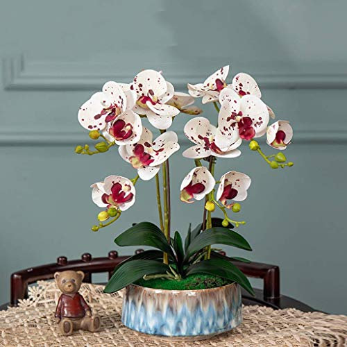 pflanzenständer, blumenstand, blumenstander Blumenregal pflanzenhocker pflanzentopf blumentopf hoch indoor holz seule Garten Blumentreppen Pflanzentreppe Ablagen deko gold metall weiß schwar