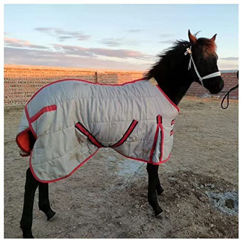 Mittelschwere 420D-Pferdedecke, 220 g Füllung, Fleece-Innenfutter, wasserdichte, Gesteppte Stalldecke für Pferde und Shetlandponys, grau, 114,3 cm