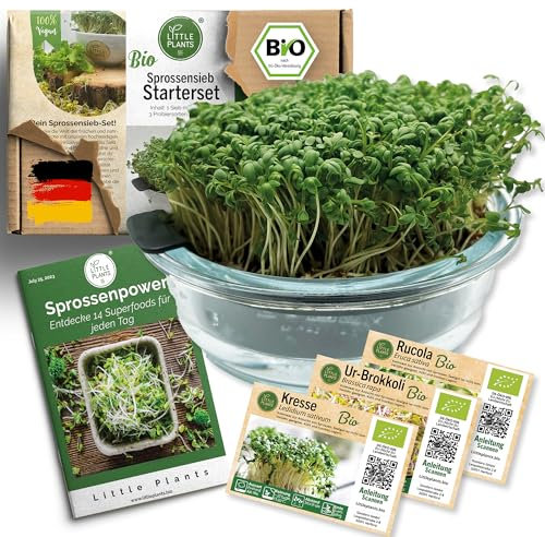 Little Plants Kresse Anzuchtschale Glas Set + 3 x Bio Sprossen Samen Kressesieb Keimschale Kresseschale cress inkl. Ebook (Anthrazit)