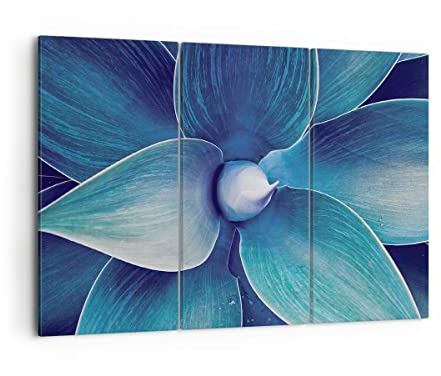 Mehrteilige Bilder auf Leinwand Agave Blau Blume Leinwandbild 105x70cm Wandbilder Dekoration Wohnzimmer Schlafzimmer Set 3 teilige Groß Wanddeko Bild Wand Kunstdruck Art Decor Canvas CE105x70-4972
