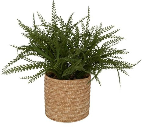 ATMOSPHERA CREATEUR D'INTERIEUR Helecho Clemy Altura 30 cm con Maceta de Fibras Naturales