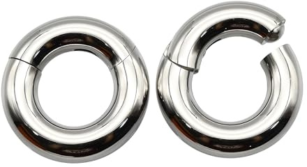 2er-Pack 316L chirurgischer Edelstahl Scharnier Nasenringe, Körperpiercing-Hoops für Nasenloch, Septum, Labret-Lippen, Helix-Knorpel, Daith-Tragus-Rook, weibliches BCR Männer PA, mehrere Piercings