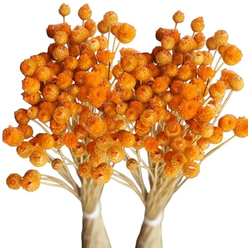 Bouquet di fiori arancioni essiccati, 2 pezzi steli secchi reali per il centrotavola del tavolo da matrimonio a casa del vaso/15, 8 pollici