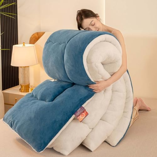 YSZBD Coperta Calda Imbottita Invernale Letto Matrimoniale Trapunte Invernali Pesanti in Lana d'Agnello Piumoni Singoli/Matrimoniali Invernali(#2,200x230cm-3kg)